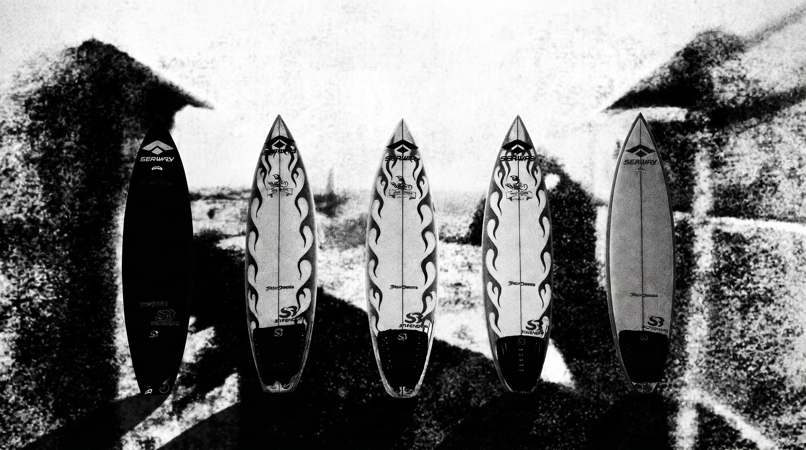 Surfer analyzing session data